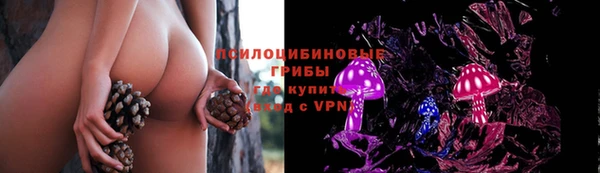 mdpv Надым