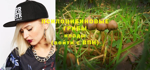 mdpv Надым