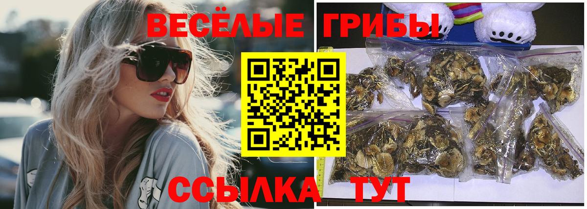 Галлюциногенные грибы Cubensis  Вход с VPN  Набережные Челны 